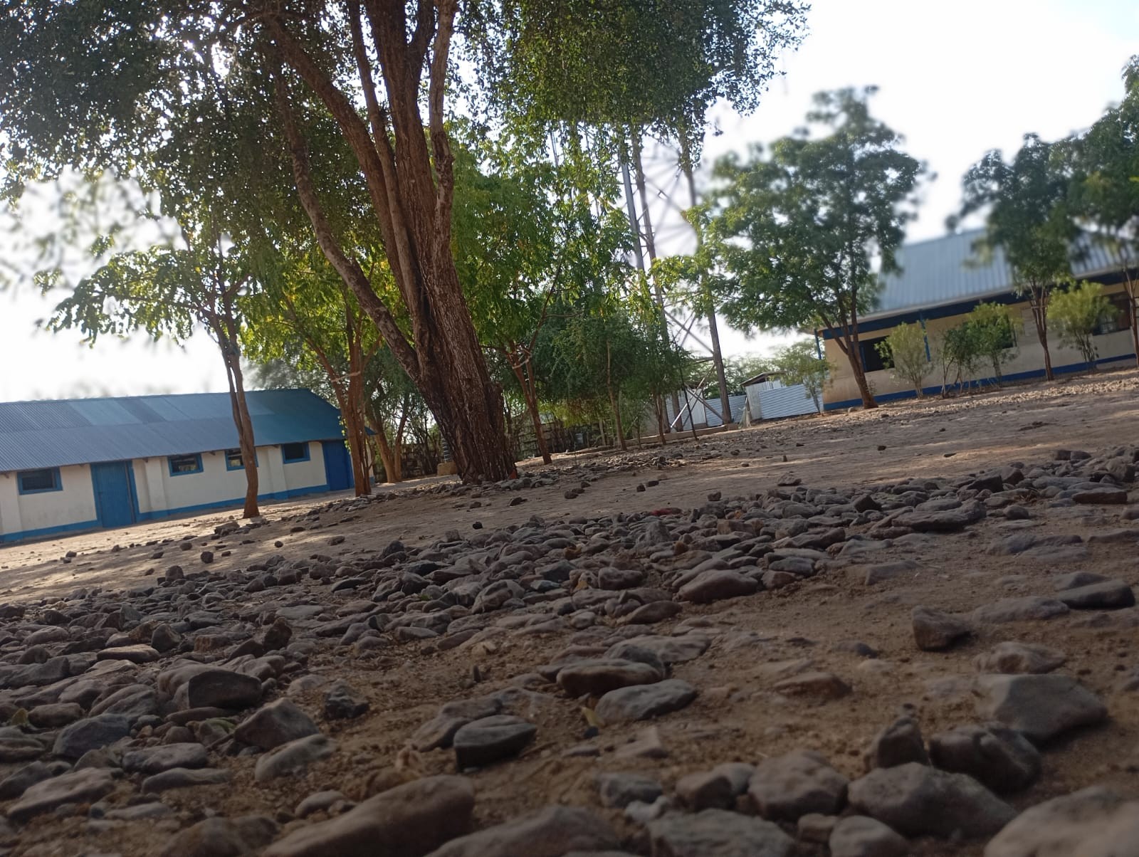 School compound showing shaded learning spaces and classroom blocks.