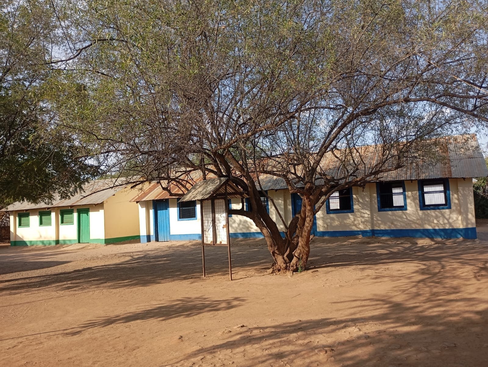 A calm view of the school compound and classroom blocks under shade trees.